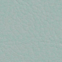 Skylight 107-2107