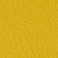 Sonne 107-2020