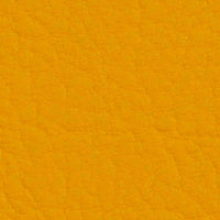 Squash 107-2111