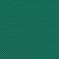Step REP10