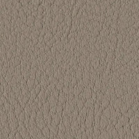 Taupe 107-0034