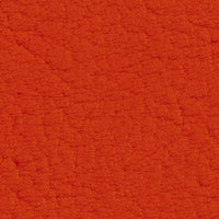 Tomato 107-2112