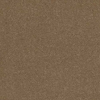 Camoscio / Camel