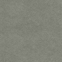 Grigio / Grey
