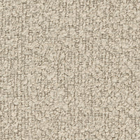 Dionea 02