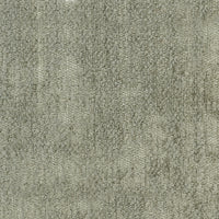 Dulcamara 04