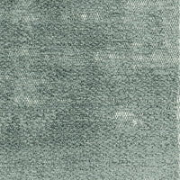 Dulcamara 10