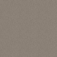 B77-019