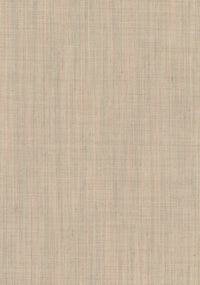 Canvas 2 | 0216