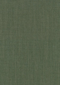 Canvas 2 | 0926