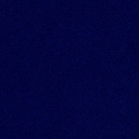Savoy 66164