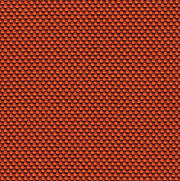 18_NOVUM_coral