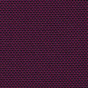 23_NOVUM_viola