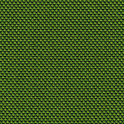 38_NOVUM_moss
