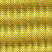 40_NOVUM_pear