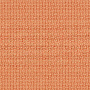 Nobel_63141