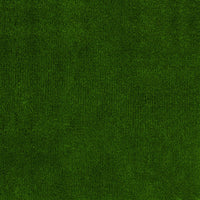 Ligustrum 10