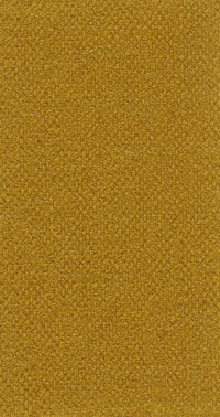 Vagus 03