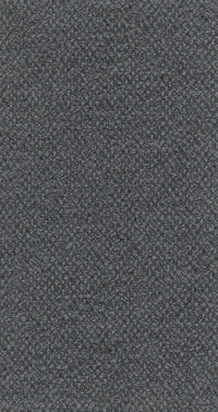 Vagus 06