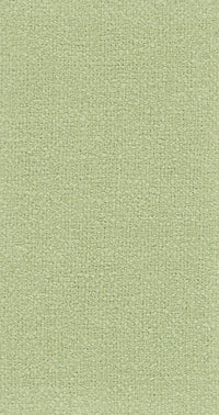 Vagus 11