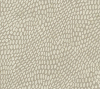Zebrina 01