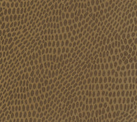 Zebrina 05
