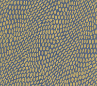 Zebrina 06