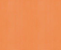 CITROUILLE (13F011)