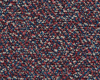 CORIANDOLO (13F038)