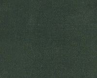 CACTUS (13L656)