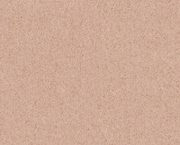 CENERE (13L571)