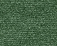 SALVIA (13O035)