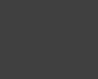 ANTRACITE (13Y411)