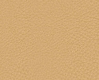 BISCOTTO (13Y290)