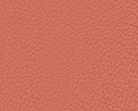 CORALLO (13Y297)