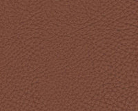 TERRA (13Y246)