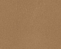 Nocciola (13Z504)