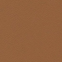 Kasia 310 (1227310)