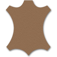 75 camel