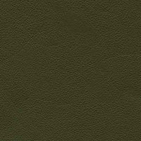 Clover Green