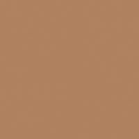 Camel 41571