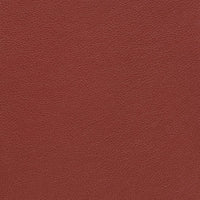 Omni 293
