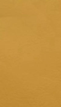 NEVADA I MUSTARD