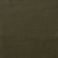 Trace 8146