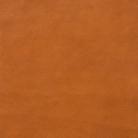 Trace 8870