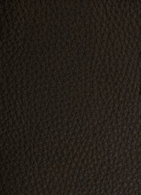 CERVO | 355