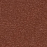 Max 92 Tan