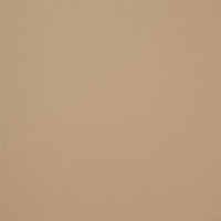 1160P