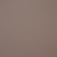1161P