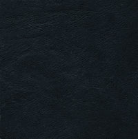 Aniline 03